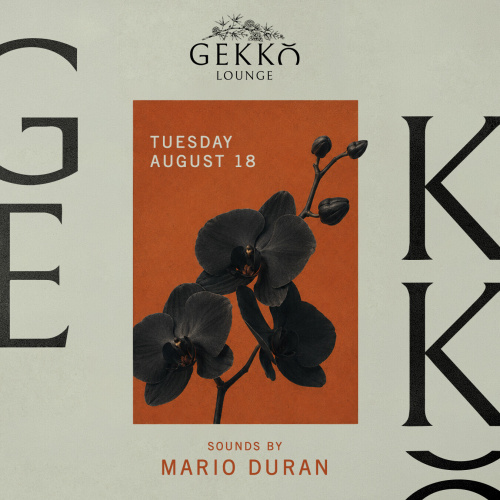 Mario Duran at Gekko Lounge