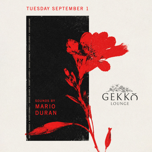 Mario Duran - Flyer