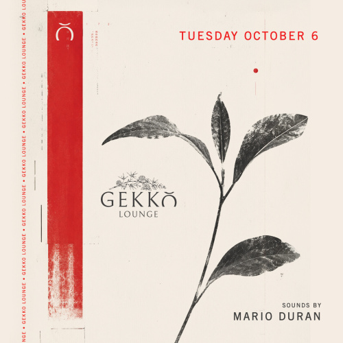 Mario Duran - Flyer