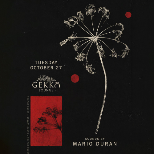 Mario Duran - Flyer