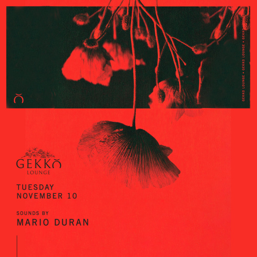 Mario Duran - Flyer