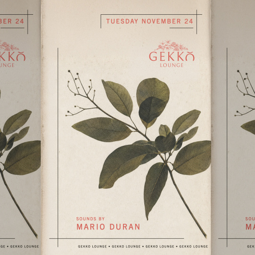 Mario Duran - Flyer