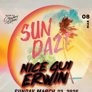 Flyer: NICE GUY ERWIN