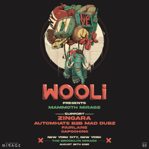 Flyer: WOOLI