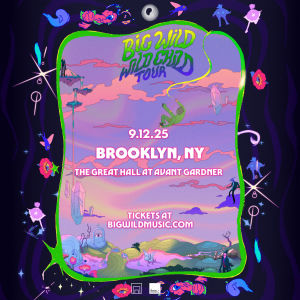 Flyer: Big Wild