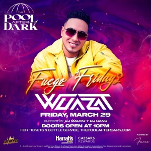 Flyer: Friday Night at The Pool After Dark