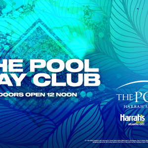 The Pool Day Club, Saturday, November 9th, 2024