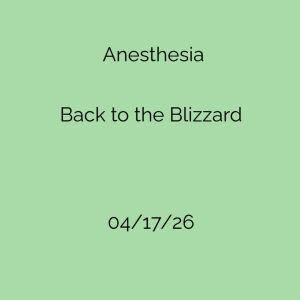 Flyer: Anesthesia & Back to the Blizzard