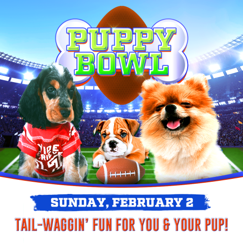 Puppy Bowl - Flyer