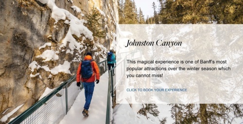 Flyer: Johnston Canyon