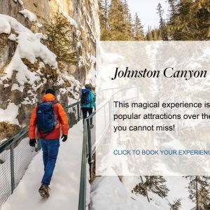 Flyer: Johnston Canyon