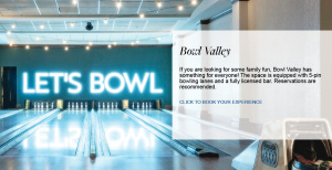 Flyer: Bowl Valley