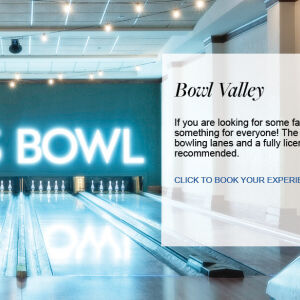 Flyer: Bowl Valley