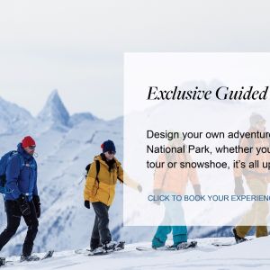 Flyer: Exclusive Guided Adventure