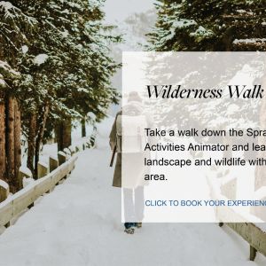 Flyer: Wilderness Walk