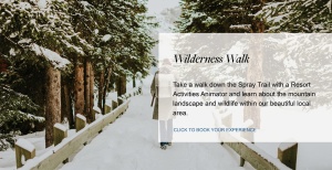 Flyer: Wilderness Walk