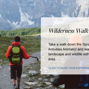 Flyer: Wilderness Walk