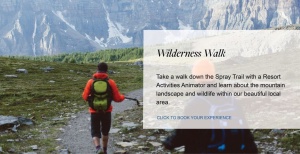 Flyer: Wilderness Walk