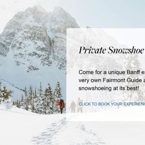 Flyer: Private Powder Day Snowshoe Adventure