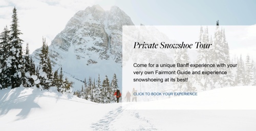 Flyer: Private Powder Day Snowshoe Adventure