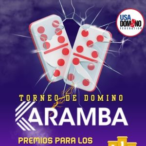 Flyer: Noche de domino