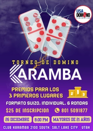 Flyer: Noche de domino