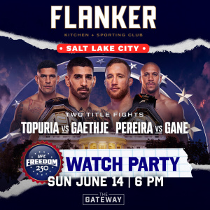 Flyer: UFC Freedom 250