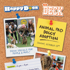 Animal Pad Dog Adoption at The Deck at Moonshine Flats, Sunday, October 13th, 2024