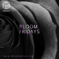 Bloom Fridays