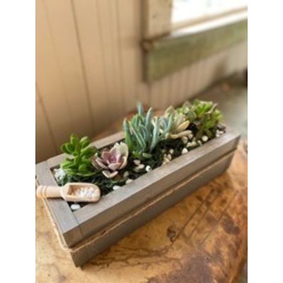 Get Crafty: Succulent Planter Box, Saturday, August 6th, 2022