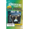 Celina Rescott & The Embers Live in Concert at Moonshine Beach