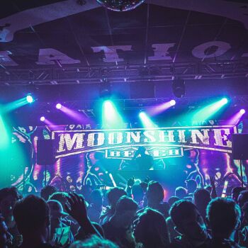 Famous Dave and Real Hypha at Moonshine Beach