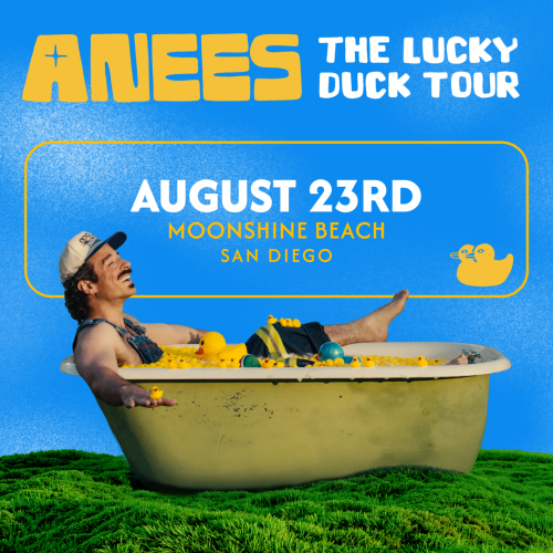 Lucky Duck Tour: Anees Live in Concert at Moonshine Beach - Moonshine Beach