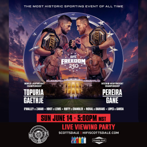 Flyer: UFC Freedom 250