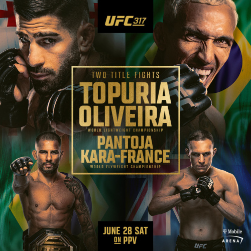 UFC 317 - Flyer