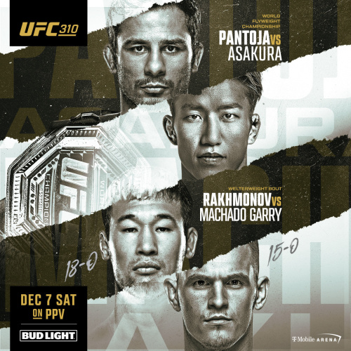 UFC 310 - Flyer