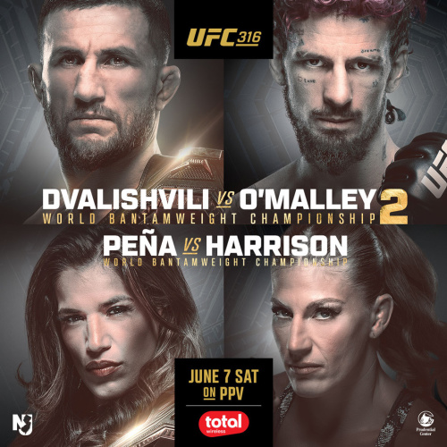 UFC 316 Fight - Flyer