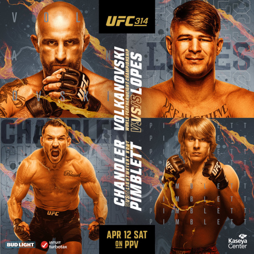 UFC 314 - Flyer