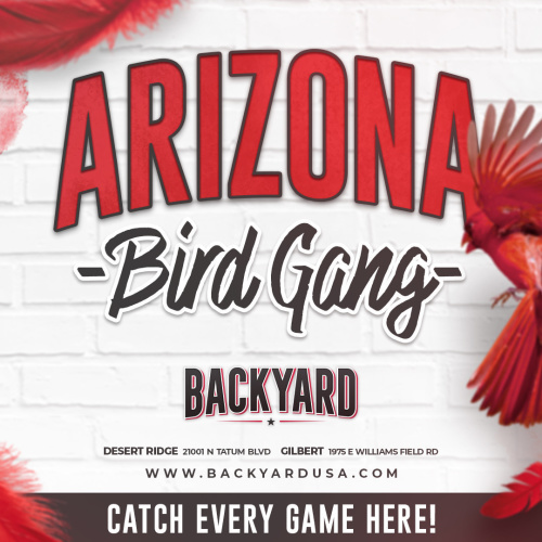 Arizona Cardinals Game Day! - Flyer