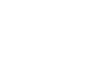 Flyer: Special Guest