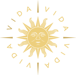 Vida Logo